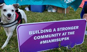 Image post by @miamischools on Instagram