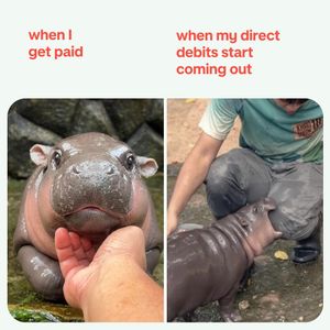 Image post by @monzo on Instagram
