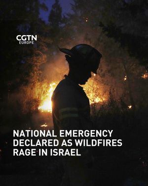 Image post by @cgtneurope on Instagram
