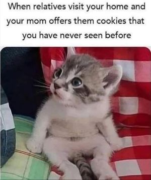 Image post by @introvertsays.in on Instagram