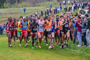 Image post by @tandfn on Instagram