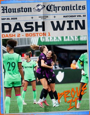 Image post by @houstondash on Instagram