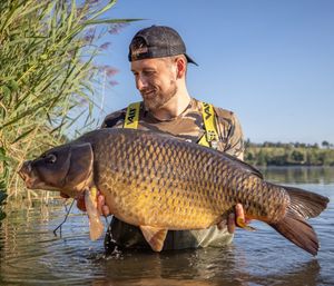 Image post by @brothercarp on Instagram