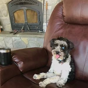 Image post by @drhempdog on Instagram