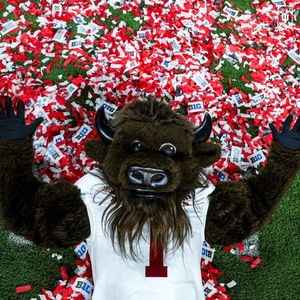 Image post by @hoosierthebison on Instagram