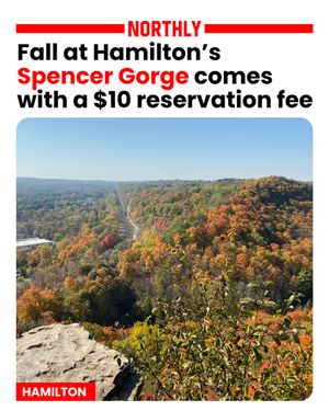 Image post by @northlyhamilton on Instagram