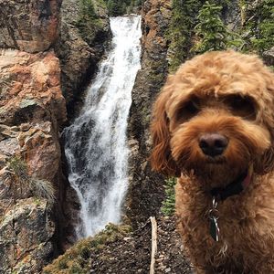 Image post by @vailmtn on Instagram