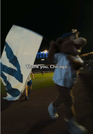 Video post by @cubs on TikTok