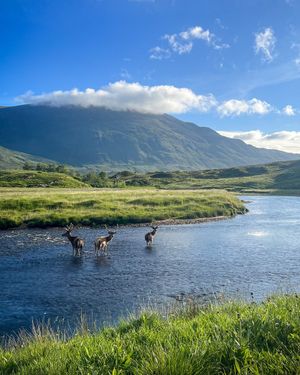 Image post by @VisitScotland on Twitter