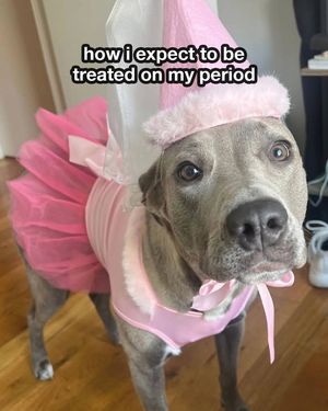 Image post by @ubykotex on Facebook