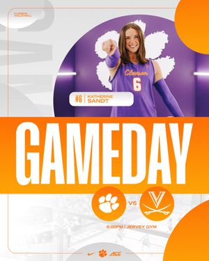 Image post by @clemsonvb on Instagram
