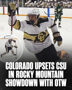 Image post by @hockeyhousepod on Instagram