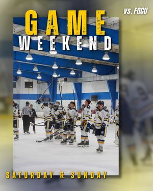Image post by @erau.hockey on Instagram
