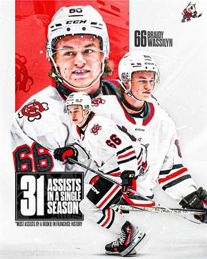 Image post by @ohlicedogs on Instagram