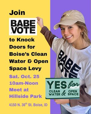 Image post by @babevote on Instagram