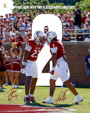 Image post by @elonfb on Instagram