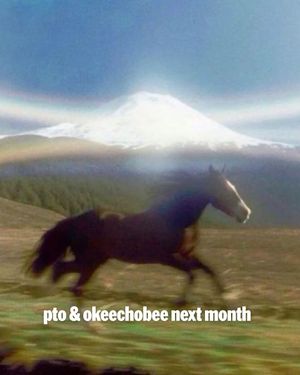 Image post by @okeechobeefest on Instagram