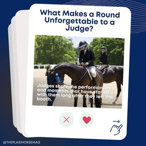 Image post by @theplaidhorsemag on Instagram