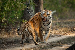 Image post by @discovery on Instagram