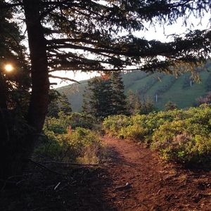 Image post by @pcski on Instagram