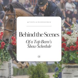 Image post by @theplaidhorsemag on Instagram