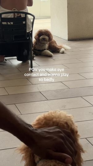 Video post by @tedflixnchill on TikTok