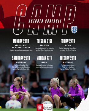 Image post by @Lionesses on Twitter