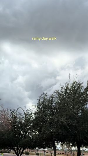 Video post by @lexy.meyers on TikTok