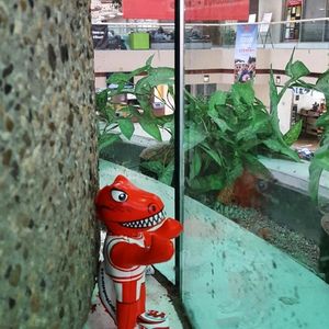 Image post by @ucalgarydinos on Instagram