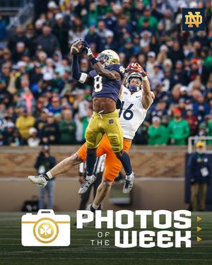 Image post by @thefightingirish on Instagram