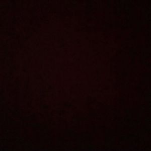 Image post by @tnelsoncook19 on Instagram