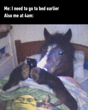 Image post by @9gag on Instagram
