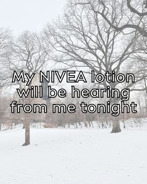 Image post by @niveausa on Instagram