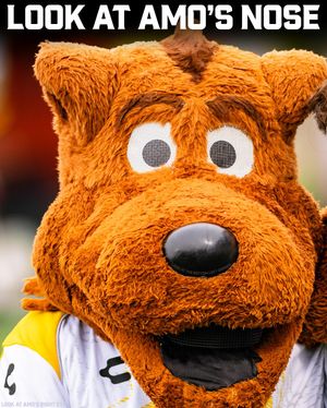 Image post by @riverhoundssc on Instagram