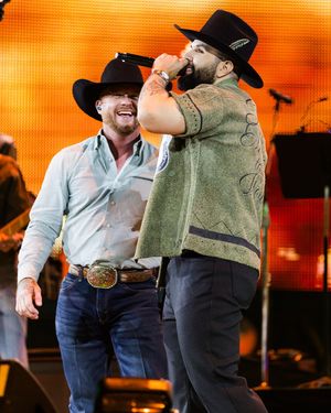 Image post by @rodeohouston on Instagram