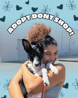 Image post by @peta on Instagram