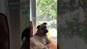 Video post by @claritin on YouTube