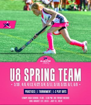 Image post by @bluestarfieldhockey on Instagram