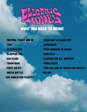 Image post by @electrichoneyexperience on Instagram