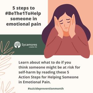 Image post by @SycamoresABetterLife on Facebook