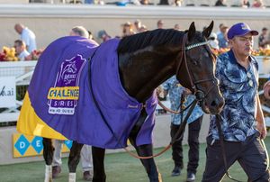 Image post by @breederscup on Instagram