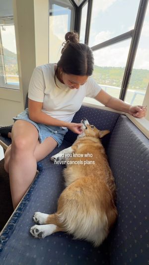 Image post by @ziggythecorg on Facebook