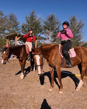 Image post by @appalachianequestrian on Instagram