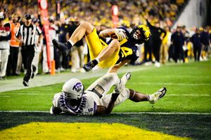 Image post by @AriannaGrainey on Twitter