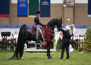 Image post by @american_royal on Instagram