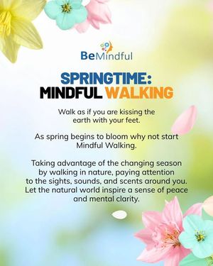 Image post by @Bemindful.us.org on Facebook