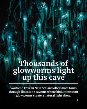 Image post by @matadornetwork on Instagram