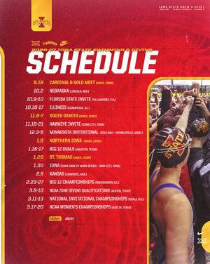 Image post by @iowastatesd on Instagram