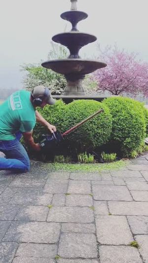 Video post by @greenworkscommercial on Facebook