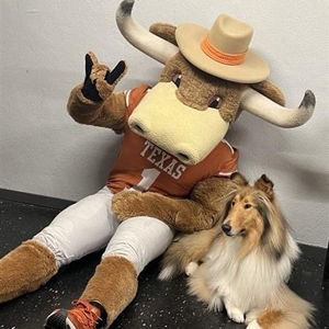 Image post by @texasexes on Instagram